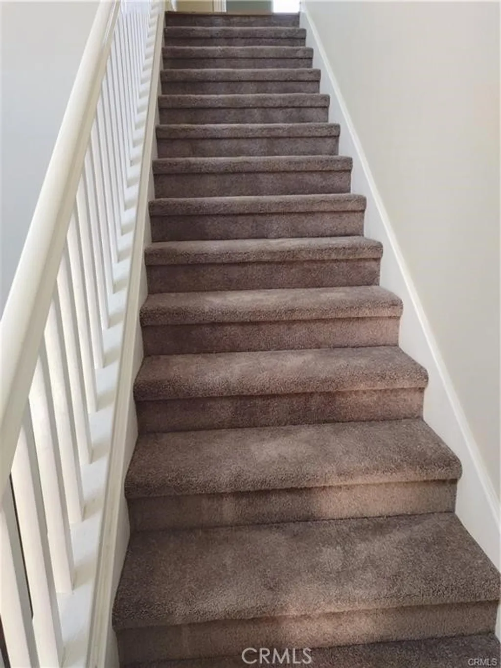 Additional image 10 of 47 Straw Flower, Irvine, CA 92620