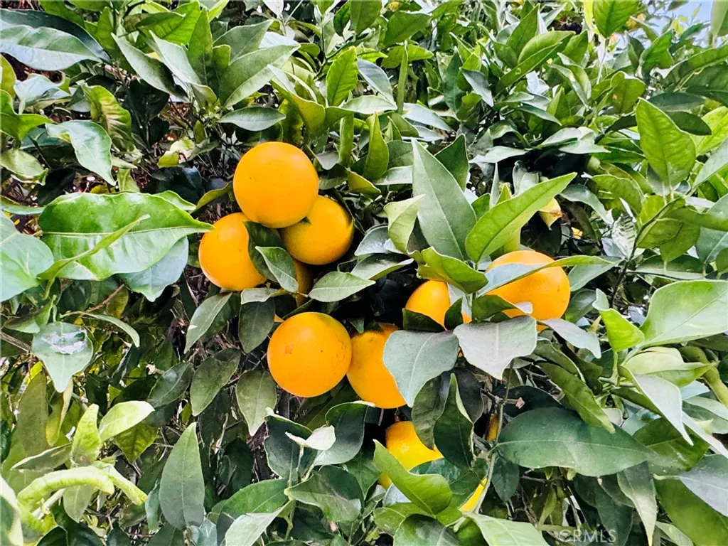 Additional image 32 of 15909 Vincennes Street, North Hills, CA 91343