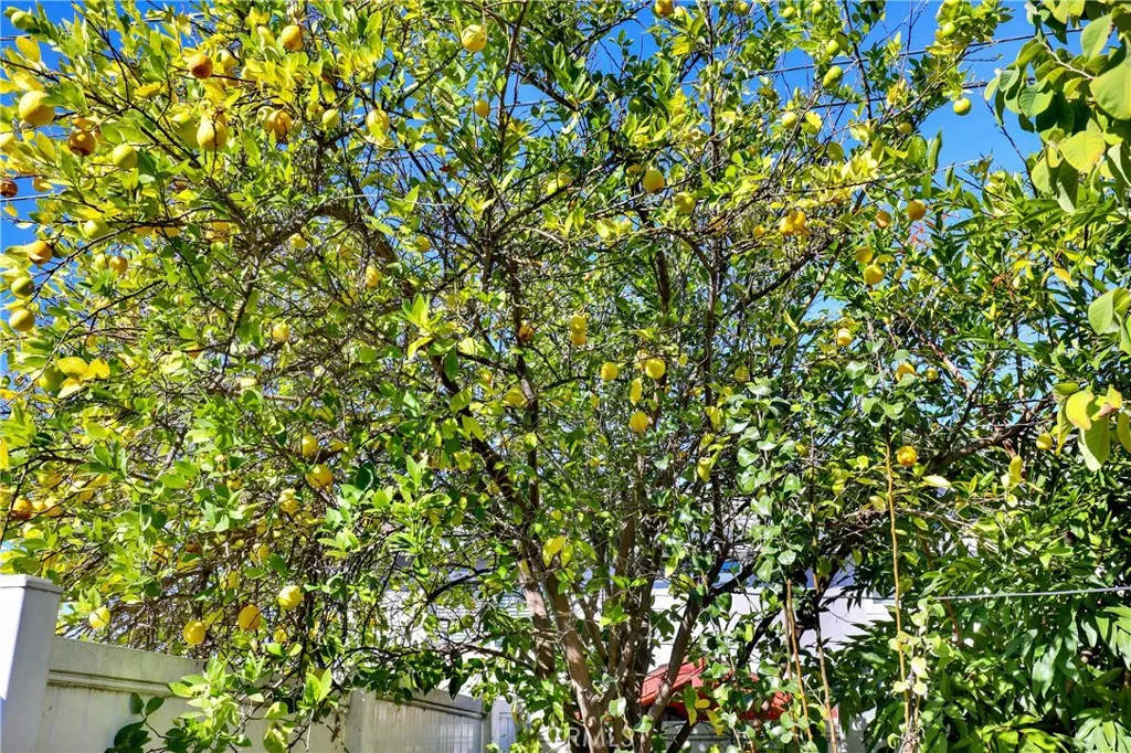 Additional image 50 of 23561 Duryea Drive, Lake Forest, CA 92630