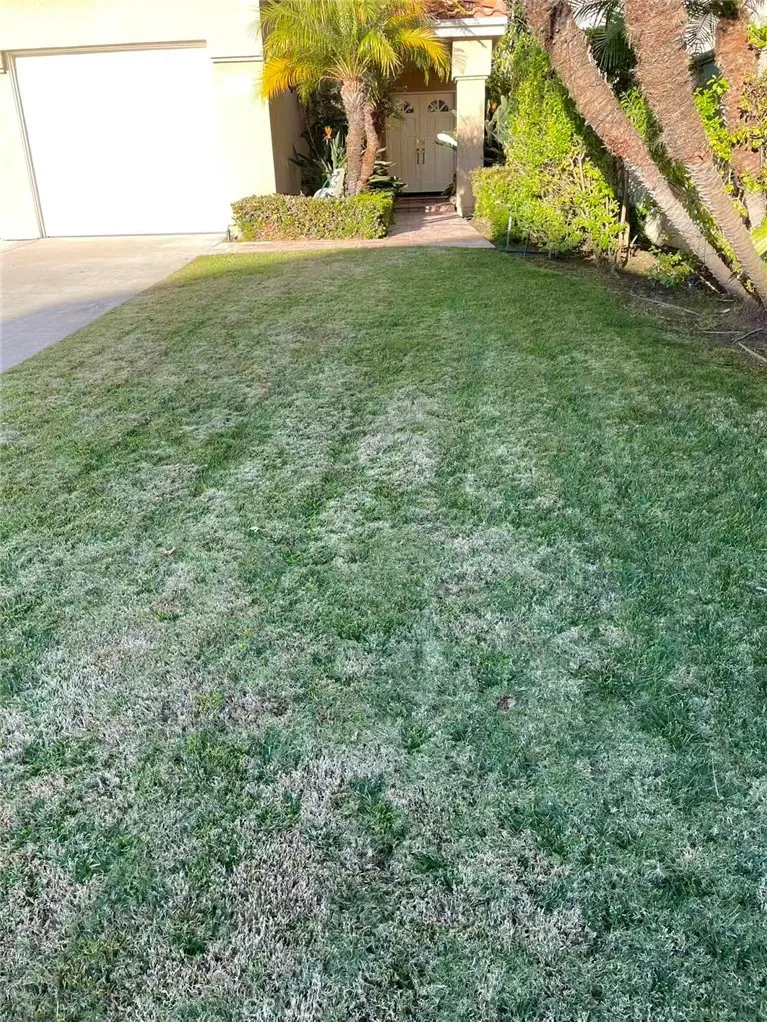 Additional image 45 of 15 Springbrook, Laguna Niguel, CA 92677