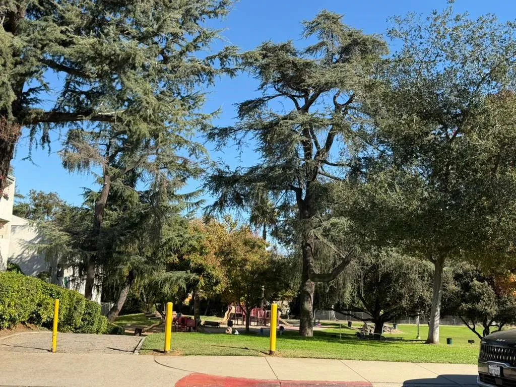 Additional image 35 of 330 N Chapel Avenue Unit 212, Alhambra, CA 91801