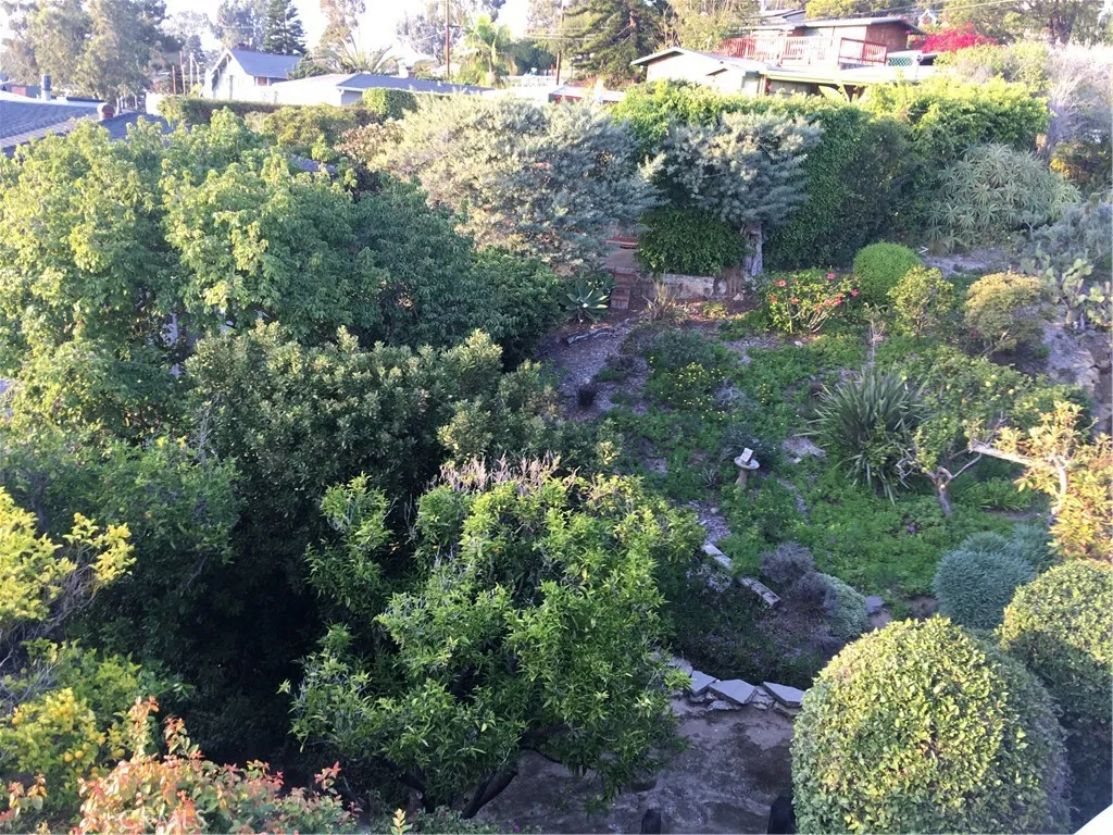 Additional image 50 of 254 Arch Street, Laguna Beach, CA 92651