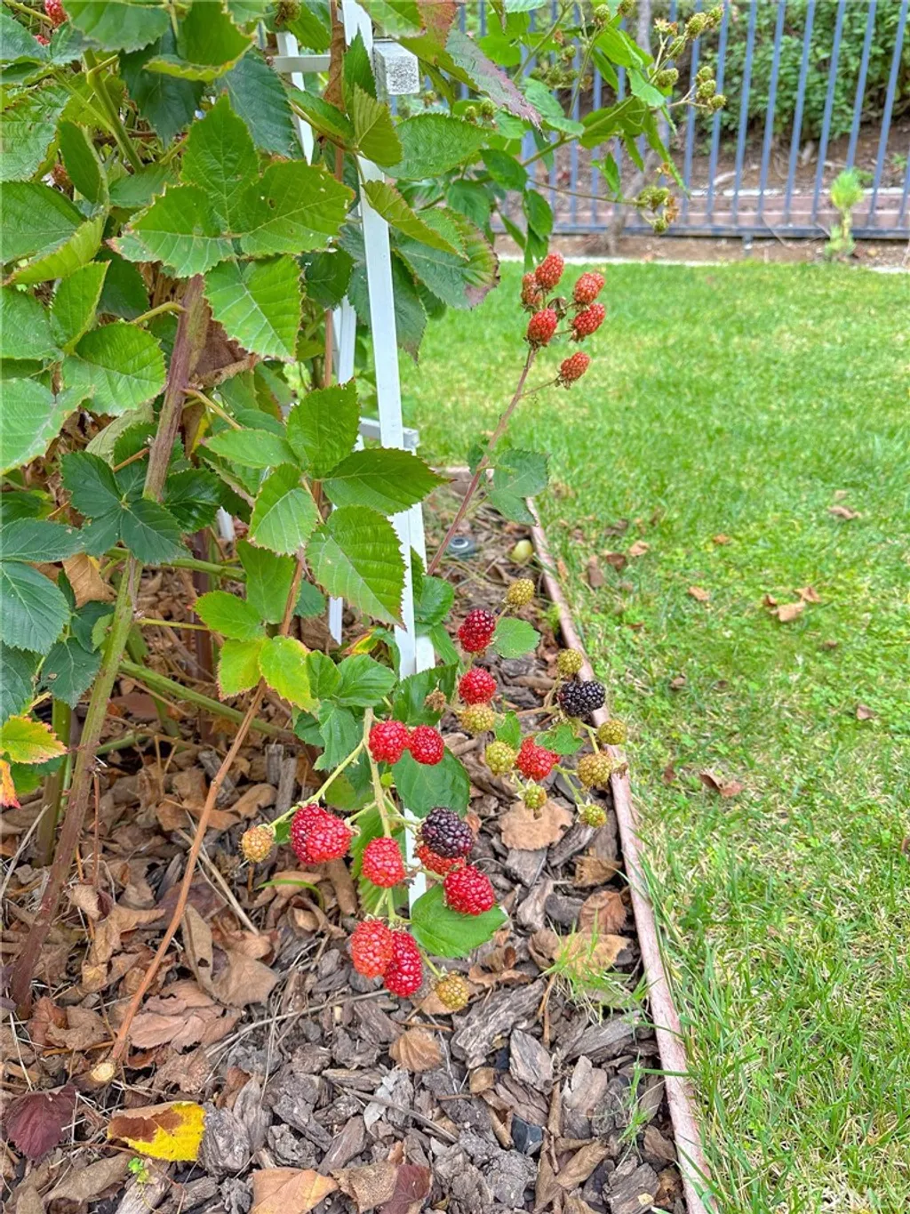 Additional image 37 of 31785 Via Del Viento, Trabuco Canyon, CA 92679