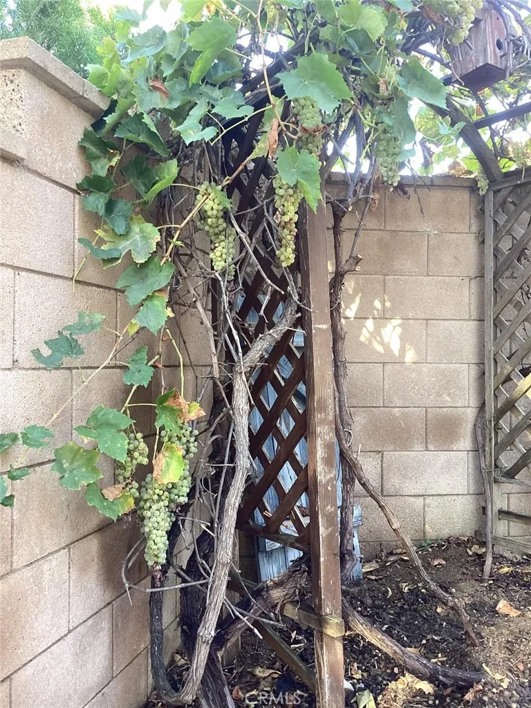 Additional image 71 of 38133 Camarada Ln, Murrieta, CA 92563