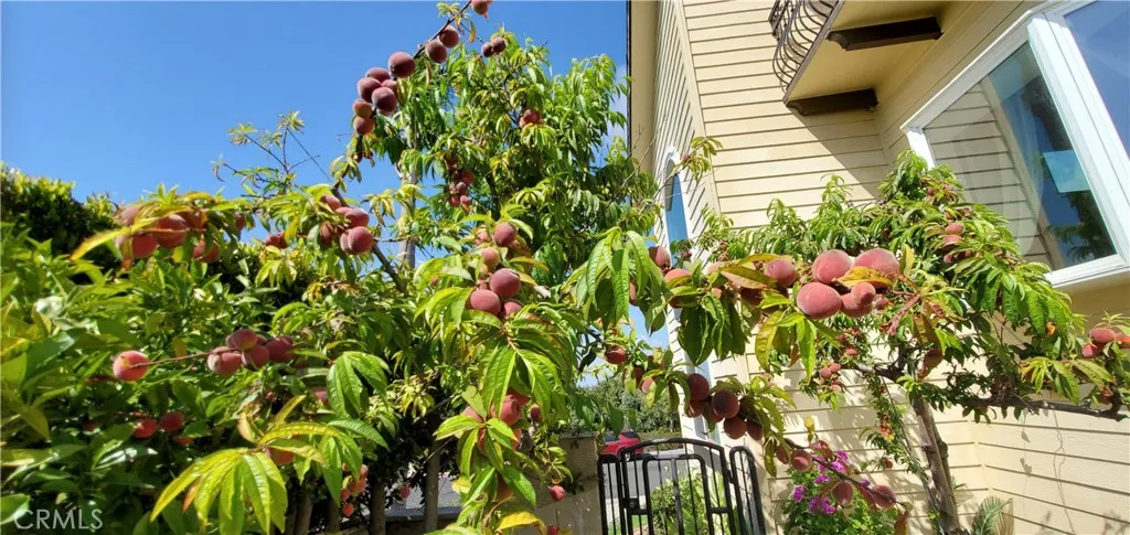 Additional image 50 of 7901 Berger Avenue, Playa Del Rey, CA 90293