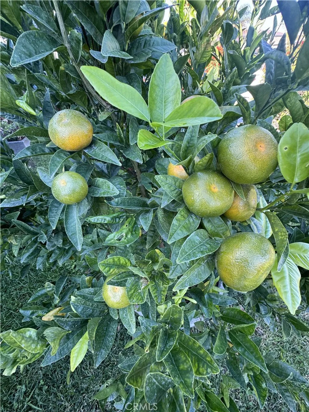 Additional image 14 of 3336 W 133rd St, Hawthorne, CA 90250