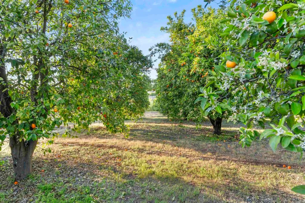 Additional image 74 of 13371 Sage Meadow Lane, Valley Center, CA 92082