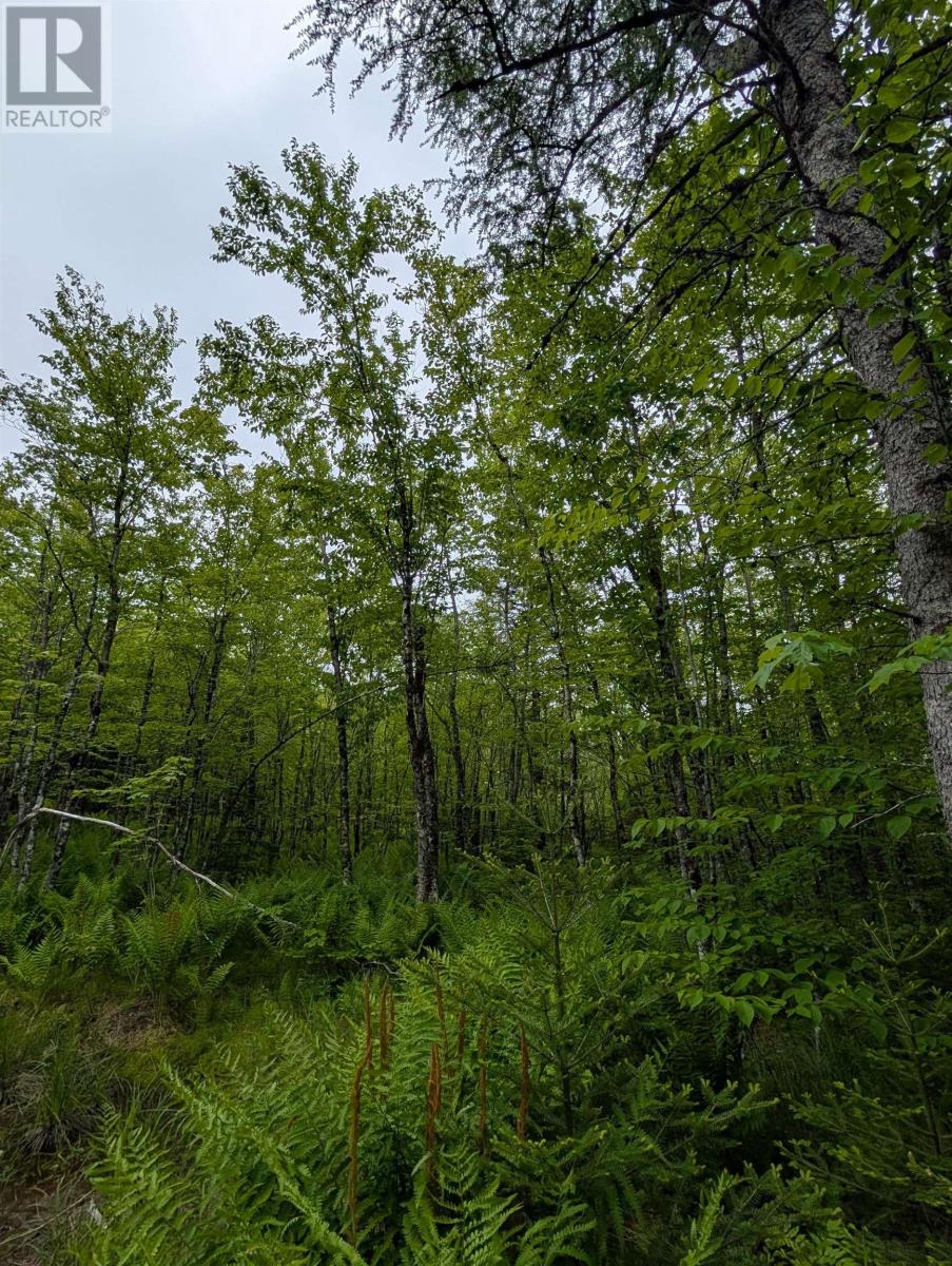 CM2J Lot CM2J Mckenzie Lane|Mount Uniacke, Nova Scotia B0N1Z0