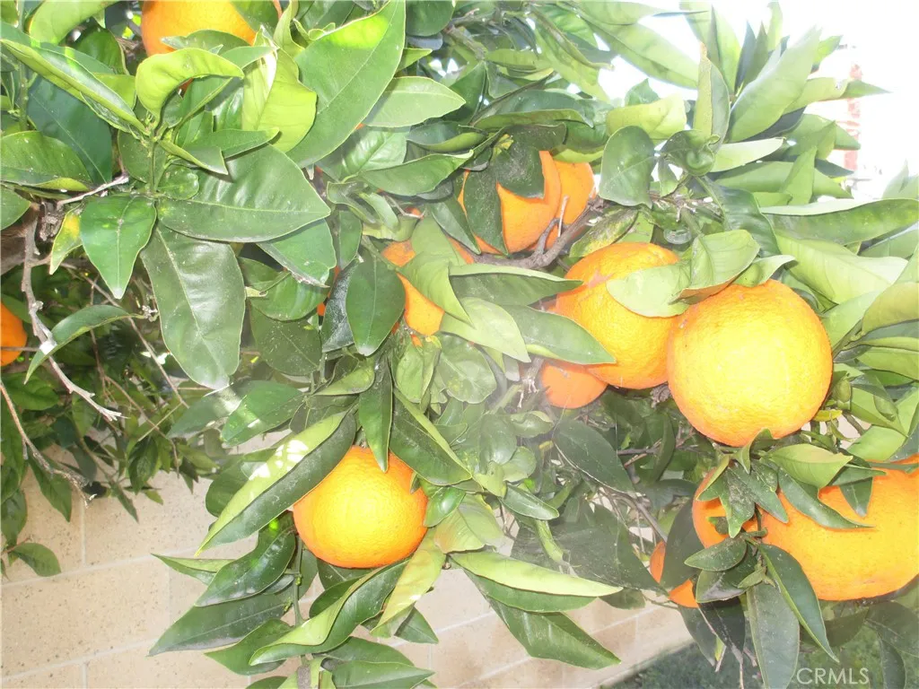 Additional image 50 of 2281 Faust Avenue, Long Beach, CA 90815