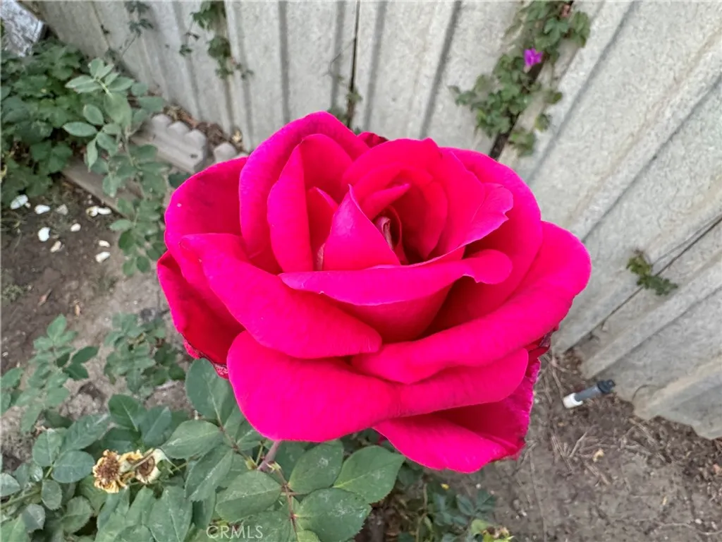 Additional image 35 of 15909 Vincennes Street, North Hills, CA 91343