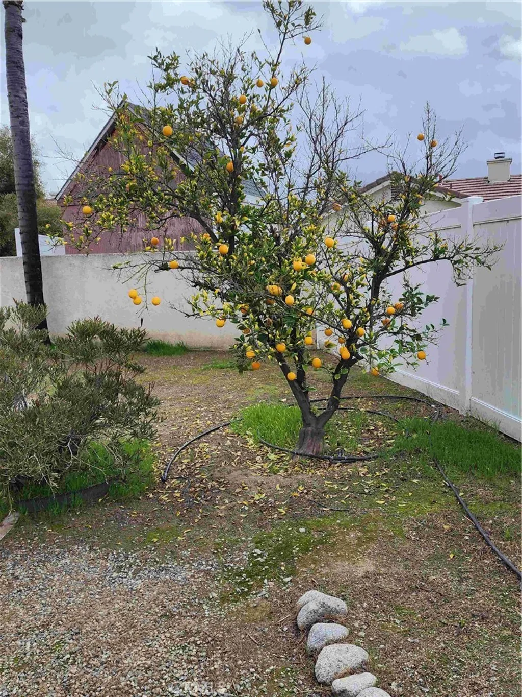 Additional image 6 of 856 Harrow St, Hemet, CA 92545