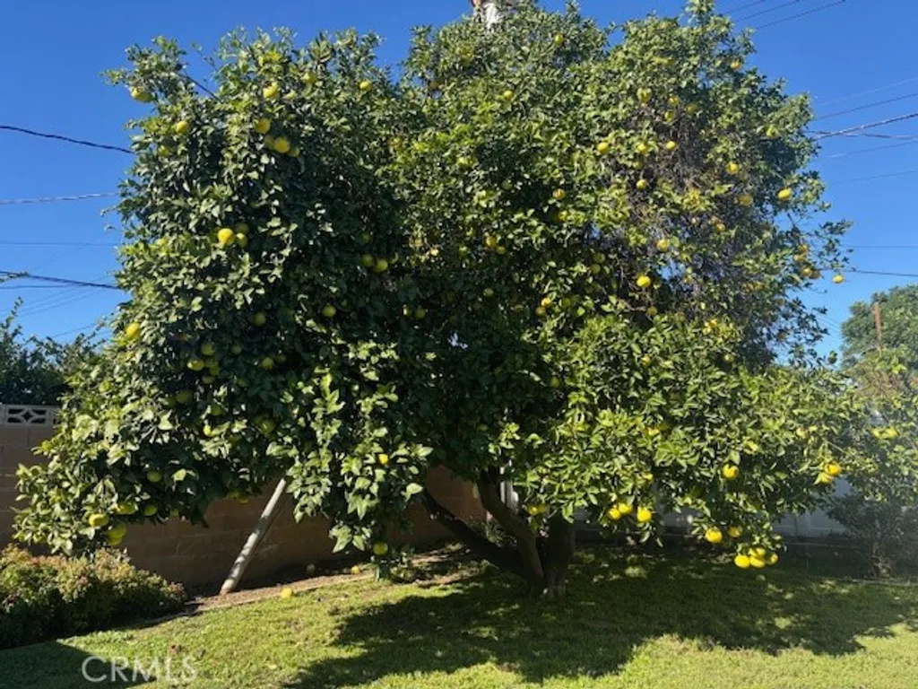 Additional image 17 of 16245 Londelius, North Hills, CA 91343