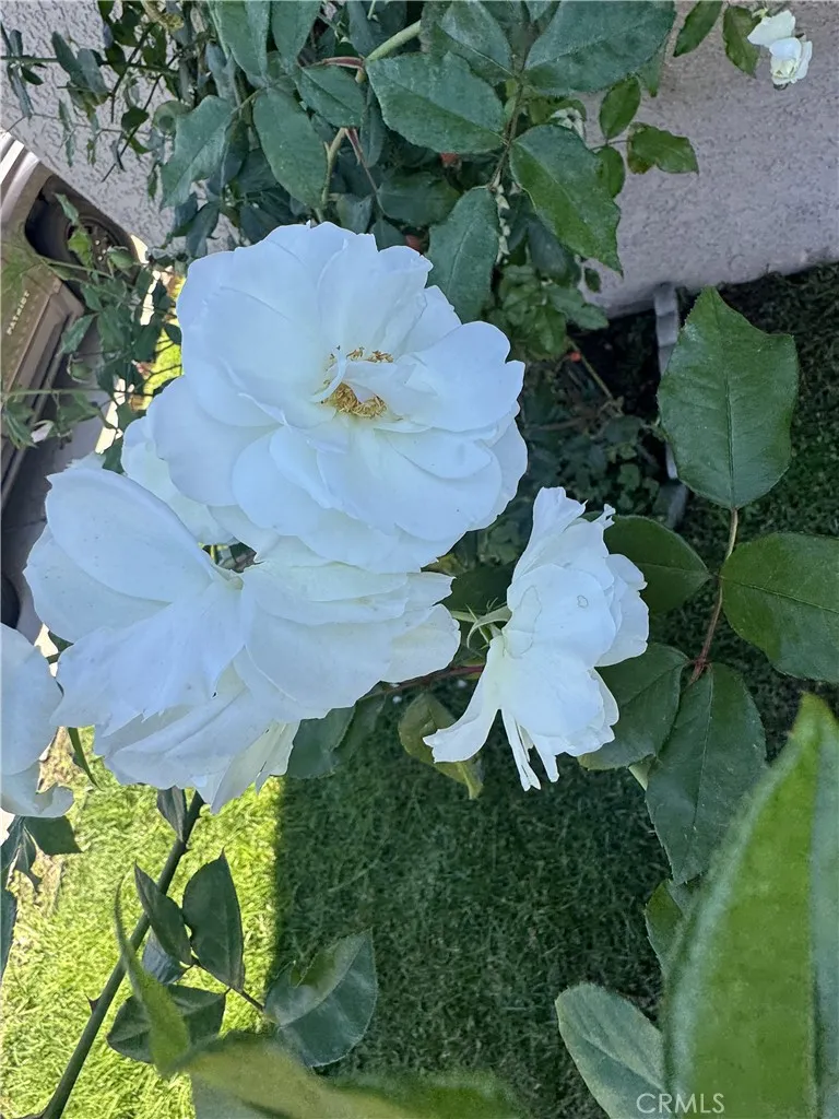 Additional image 37 of 3336 W 133rd St, Hawthorne, CA 90250