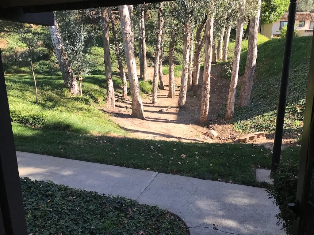 Additional image 27 of 765 Knollwood Lane, San Dimas, CA 91773