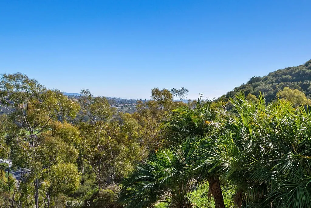 Additional image 60 of 30942 Calle Moraga, Laguna Niguel, CA 92677