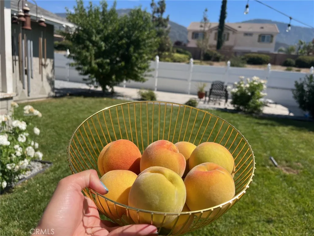 Additional image 43 of 6225 Mandy Ln, San Bernardino, CA 92407