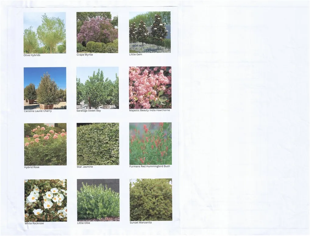 Additional image 50 of 128 Creation, Irvine, CA 92618