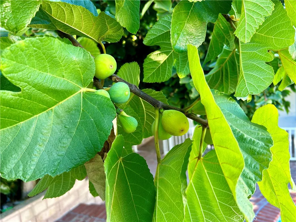 Additional image 27 of 16754 Armstead Street, Granada Hills, CA 91344