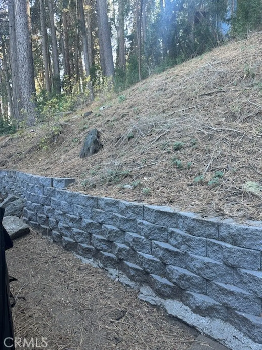 Property image for 480 Mozumdar Dr, Cedarpines Park, CA 92322