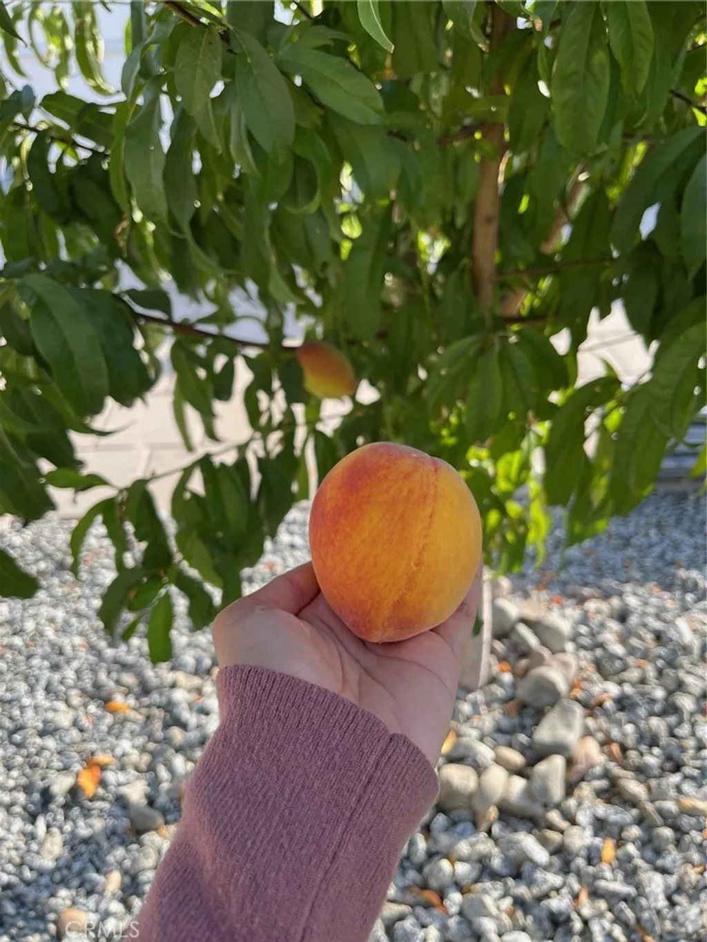 Additional image 42 of 6225 Mandy Ln, San Bernardino, CA 92407