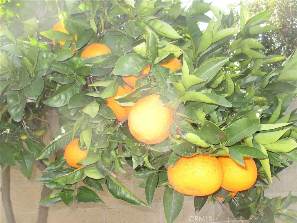 Additional image 49 of 2281 Faust Avenue, Long Beach, CA 90815