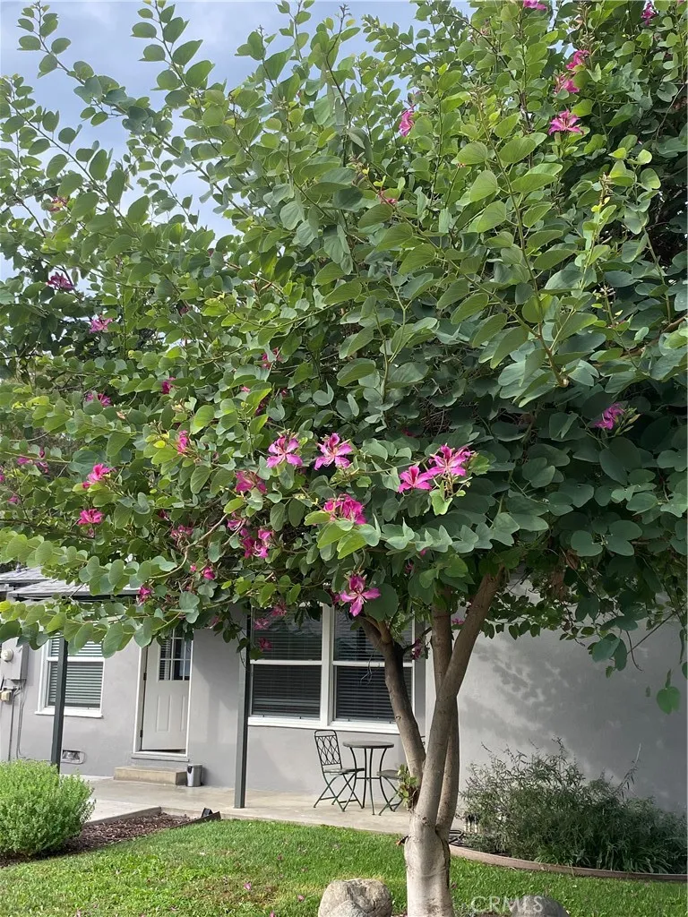 Additional image 34 of 656 N Vallejo Way, Upland, CA 91786