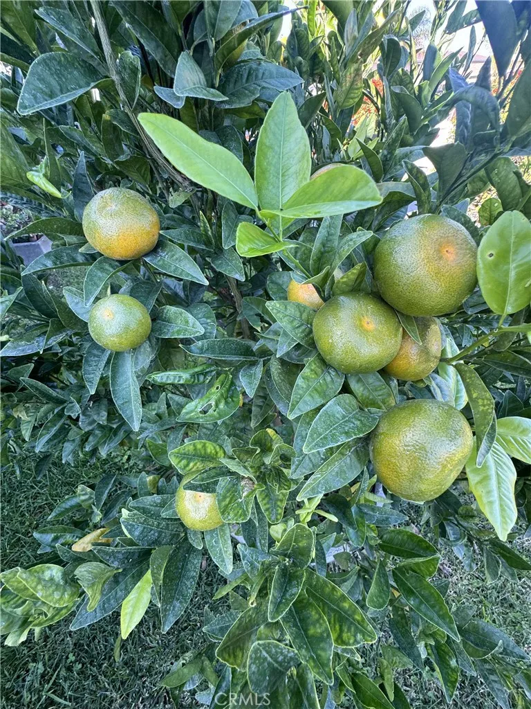 Additional image 38 of 3336 W 133rd St, Hawthorne, CA 90250