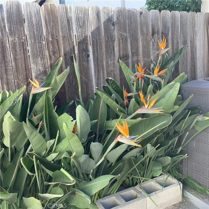 Additional image 67 of 21812 Stonepine St, Diamond Bar, CA 91765