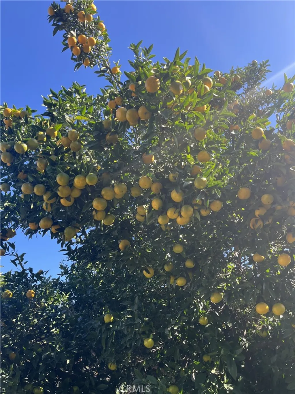 Additional image 10 of 1320 3 Ranch, Duarte, CA 91010