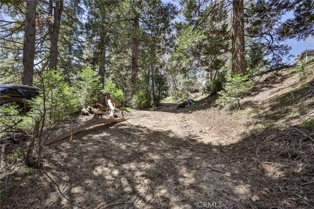 Additional image 93 of 26316 Ca-189 Highway, Twin Peaks, CA 92391