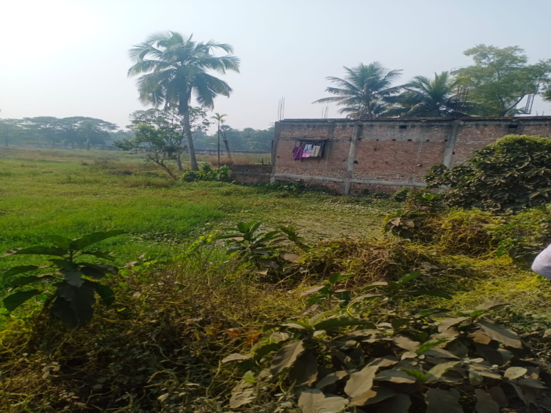 Additional image 2 of Amtala, Kolkata