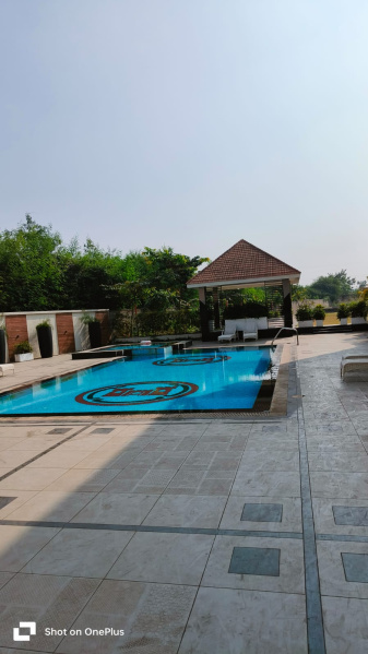 Additional image 2 of Kachna, Raipur