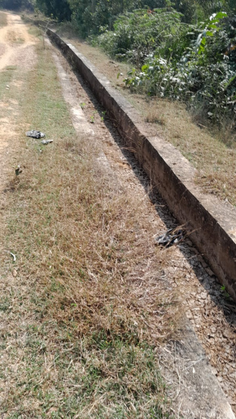 Additional image 2 of Dumduma, Bhubaneswar