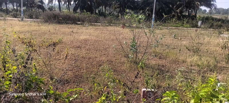 Additional image 3 of Kadakola, Mysore