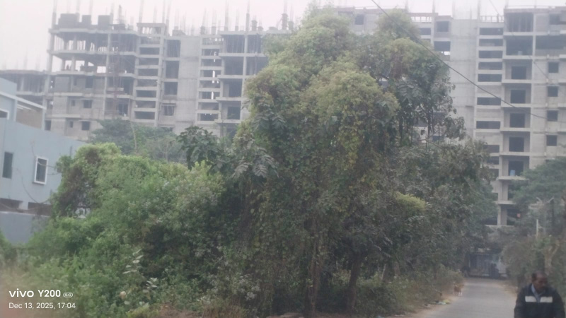 Additional image 2 of Kesora, Bhubaneswar