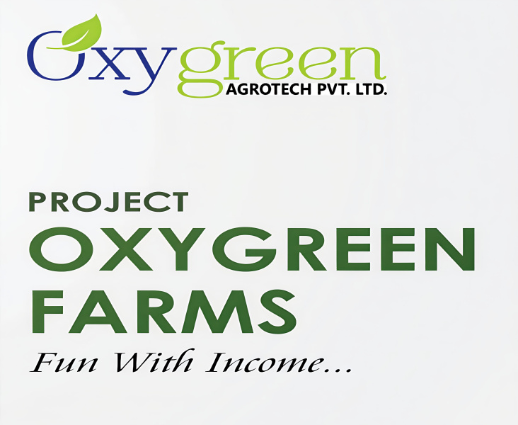 Additional image 2 of Butibori, Nagpur