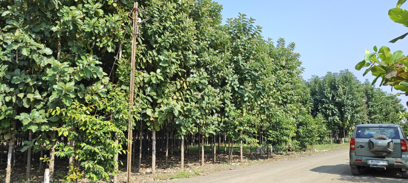 Additional image 3 of Butibori, Nagpur