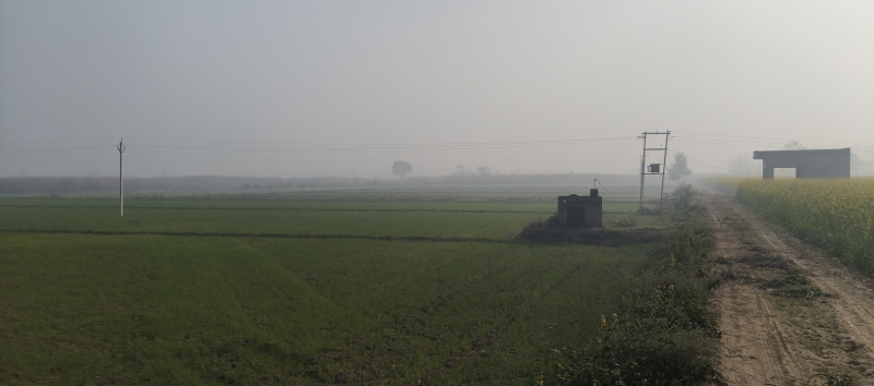 Additional image 3 of Mawana, Meerut