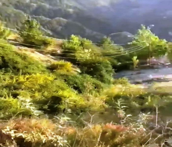 Additional image 3 of Theog, Shimla