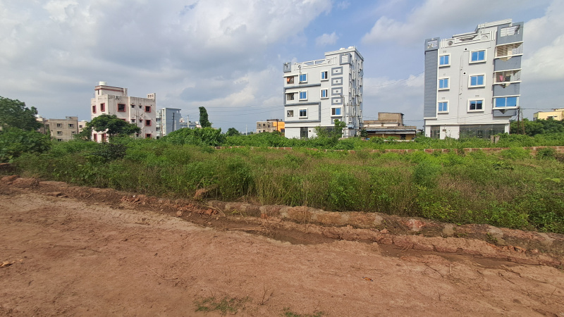 Additional image 3 of Daruthenga, Bhubaneswar