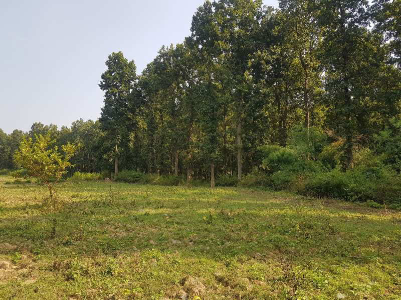 Additional image 3 of Sahaspur, Dehradun