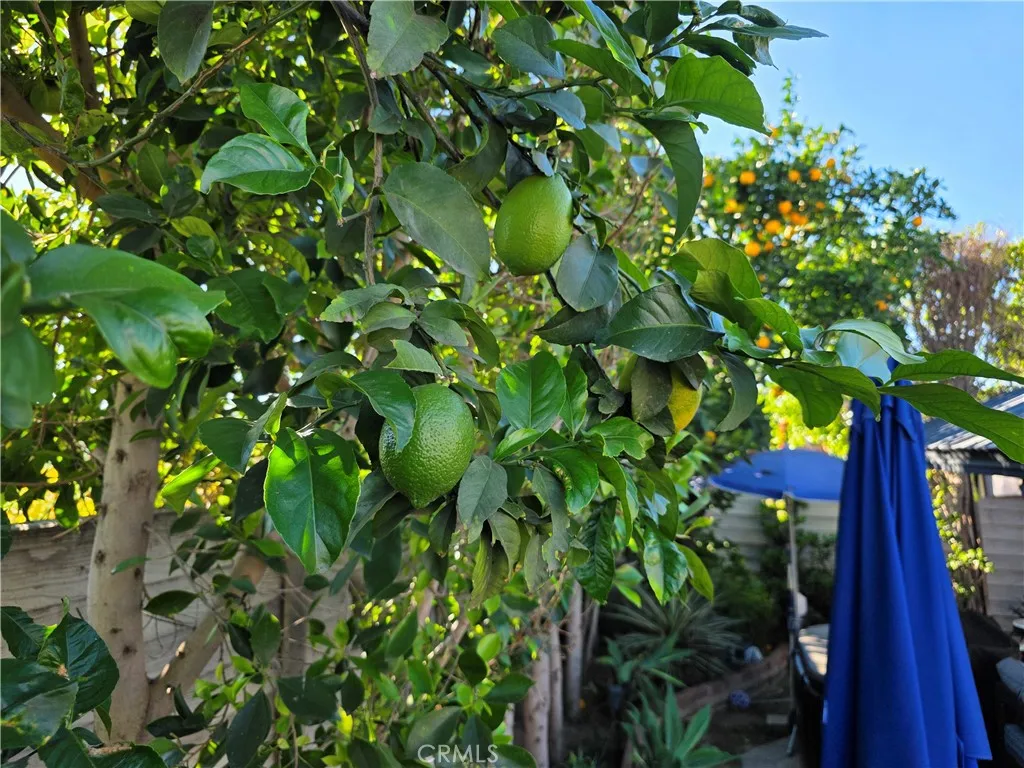 Additional image 54 of 16264 Kalisher Street, Granada Hills, CA 91344