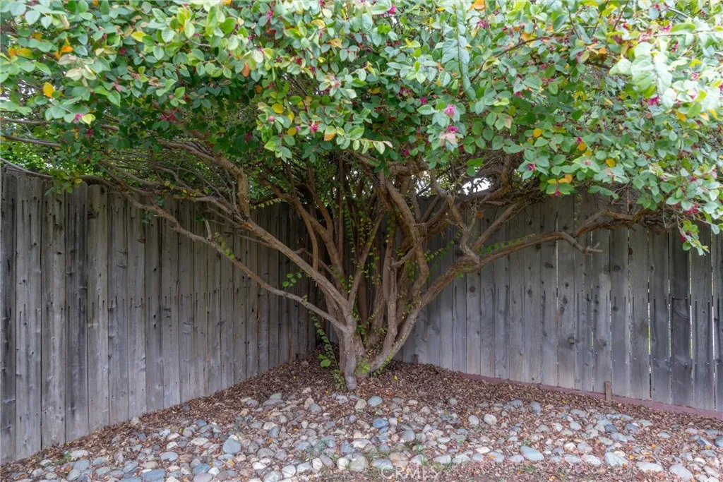 Additional image 34 of 354 Silver Lake Dr, Chico, CA 95973