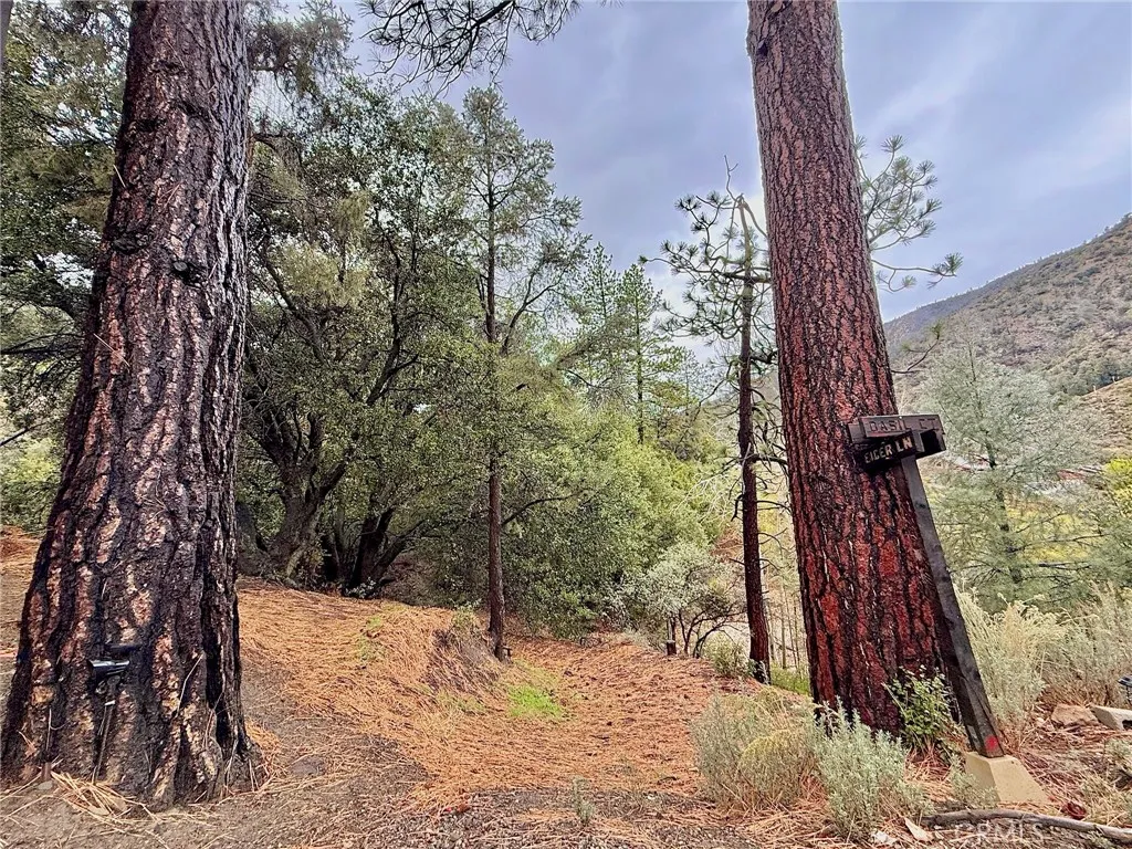 Additional image 50 of 2608 Basel Court, Pine Mountain Club, CA 93222