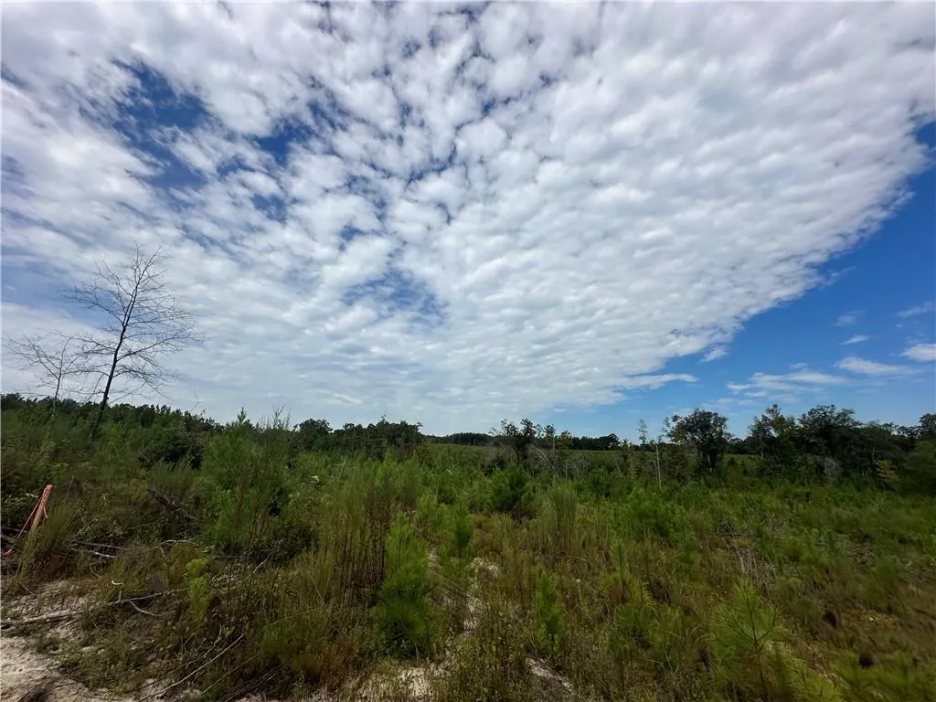 Additional image 24 of 210 Ridge Road, Seale, AL 36875