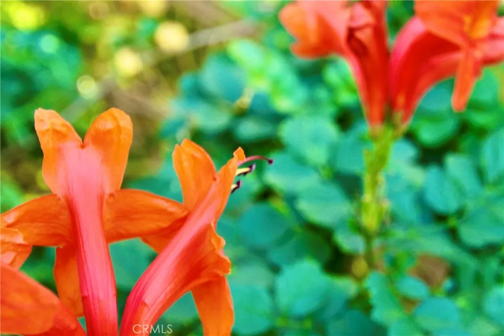 Additional image 3 of 79927 Viento Dr, La Quinta, CA 92253