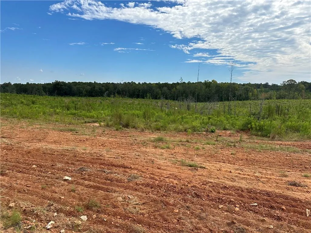 Additional image 26 of 210 Ridge Road, Seale, AL 36875