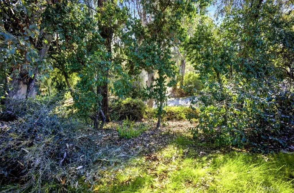 Additional image 59 of 24599 Calle San Vicente, Murrieta, CA 92562