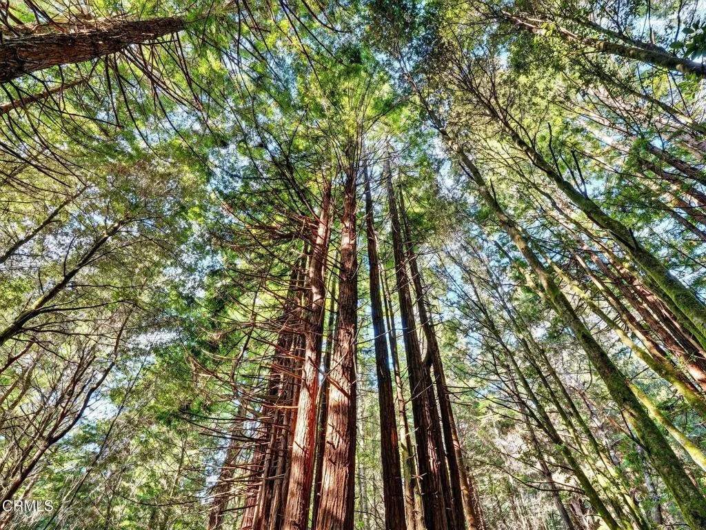 Additional image 85 of 19400 Dorffi Road, Fort Bragg, CA 95437