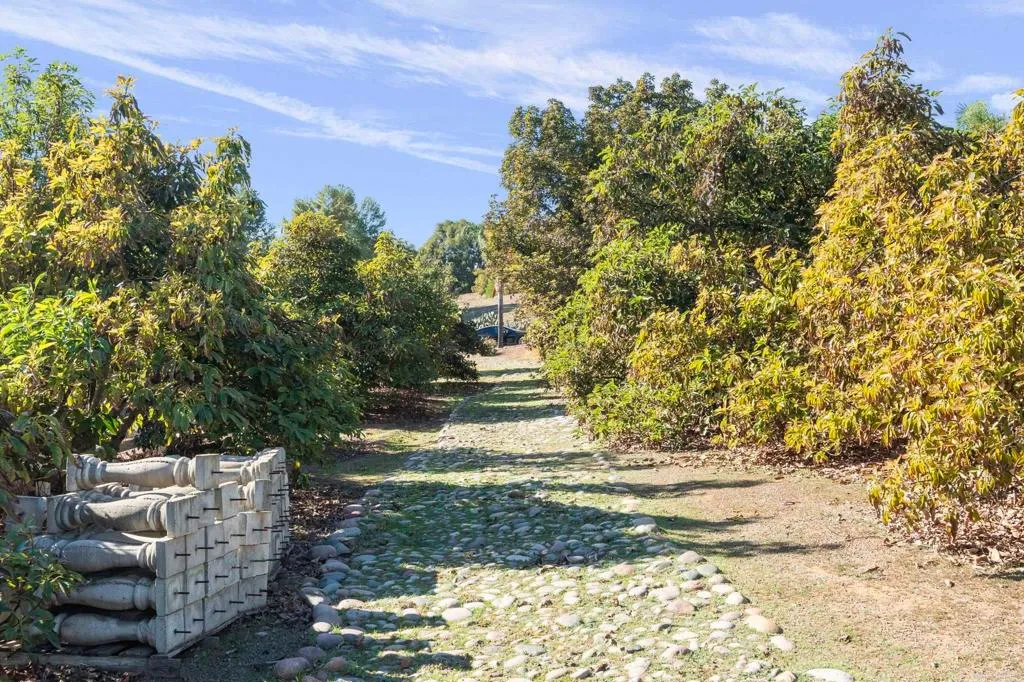 Additional image 64 of 15141 Post Oak Lane, El Cajon, CA 92021